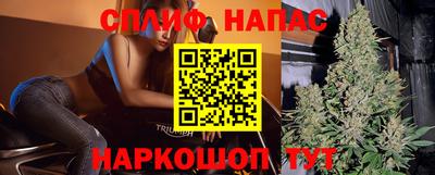 стаф Гусев