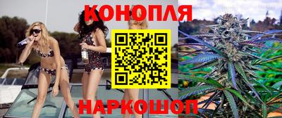 стаф Гусев