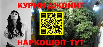 стаф Гусев